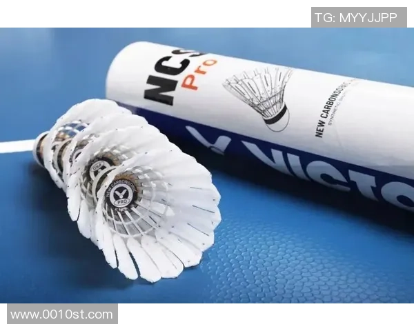 南京羽毛球队在羽毛球状态排行榜中荣登第五名展现出强劲实力与潜力