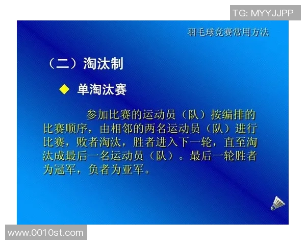 成都羽毛球队在杯赛中的技术表现分析与亮点总结