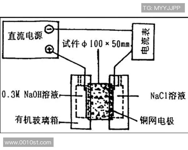 深圳排球队边路渗透战术分析及其对比赛胜负的影响探讨 深圳排球队边路渗透战术分析及其对比赛胜负的影响探讨