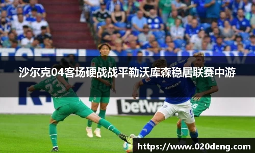 沙尔克04客场硬战战平勒沃库森稳居联赛中游