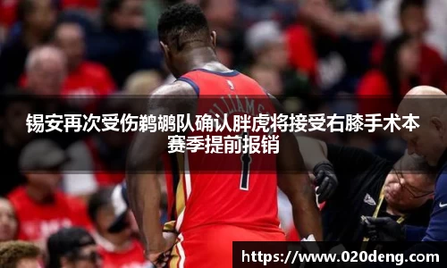 乐动LDSports官网