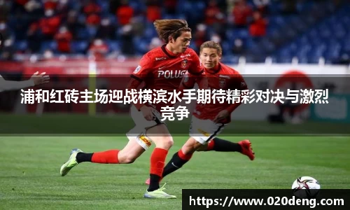 乐动LDSports