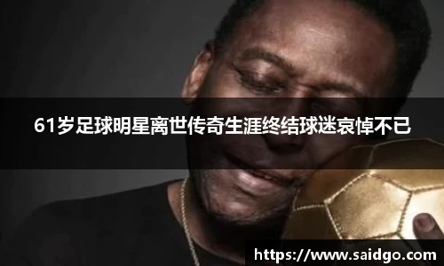 乐动LDSports官网