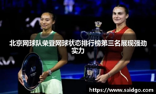 乐动LDSports官网