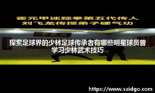 乐动LDSports官网