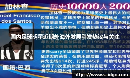 乐动LDSports综合体育