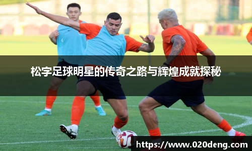 乐动LDSports官网